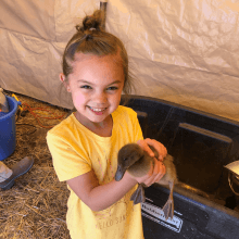 Girl smiles and giggles holding a baby duck during Animals Days outdoor spring activities for all ages